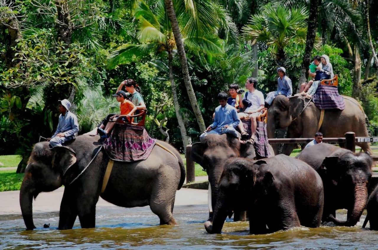 Villa Kaira Estate Canggu Dış mekan fotoğraf